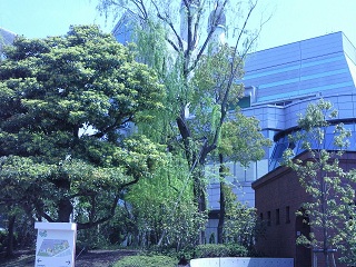 20120428_1.jpg