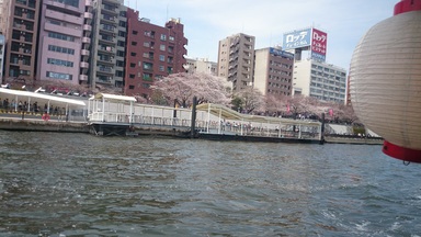 20140329_2.JPG