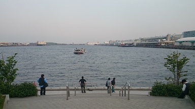 20150517_8.JPG